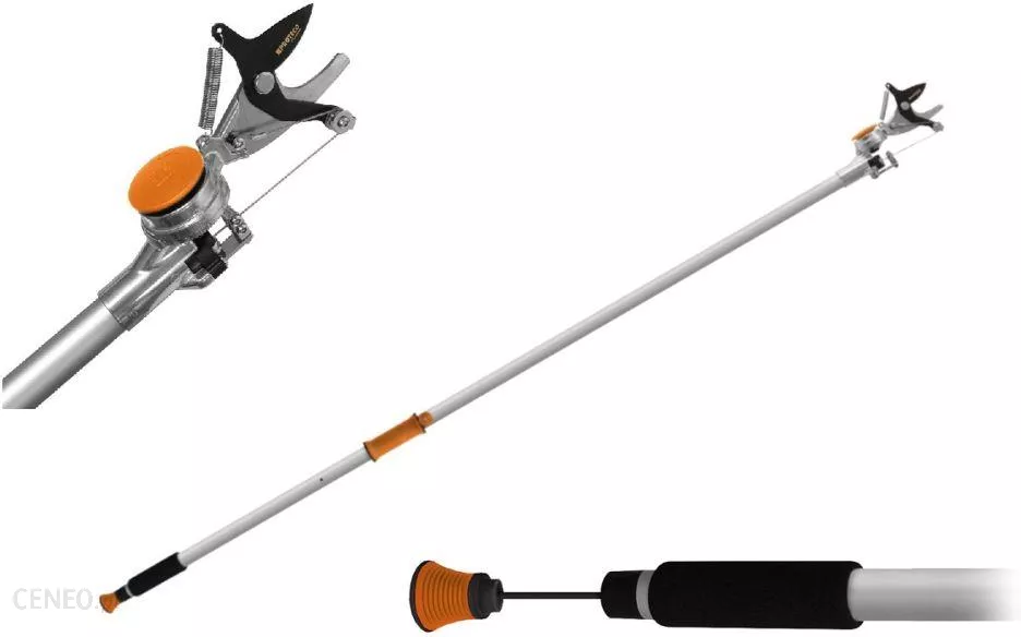 NŮŽKY NA VĚTVE 200CM